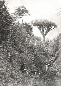 Excursionistas en el interior del Barranco de Casilla a la altura de la calle de El calvario. Finales del siglo XIX principios del XX. Cedida por el Centro de la Fotografía del Cabildo Insular de Tenerife